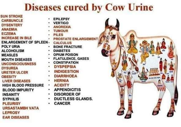 Diseases%20cured%20by%20cow%20urine